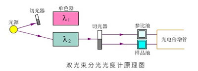 紫外分光光度计从结构上是如何分类的