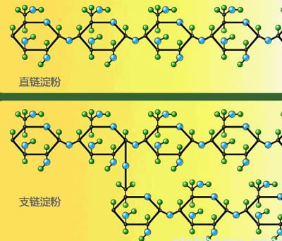 直链淀粉和支链淀粉难分难解