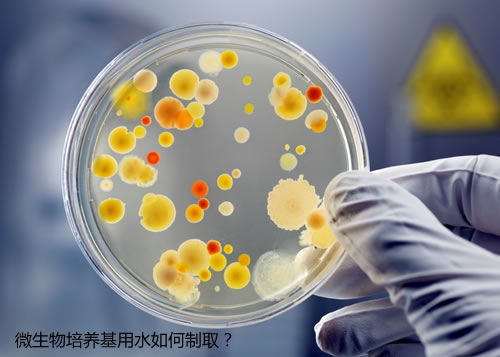 微生物培养基用水如何制取？